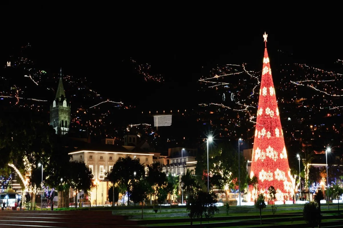 Madeira in December